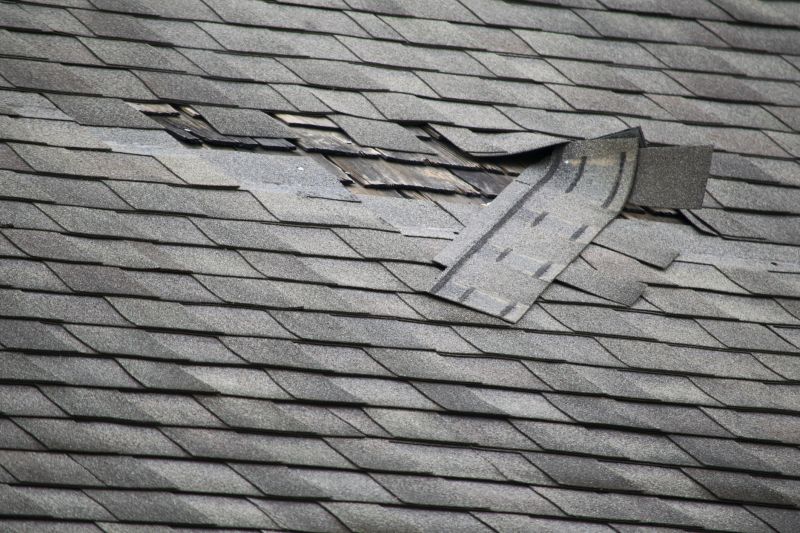 Damaged Lanai Roofs